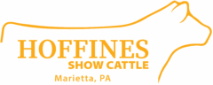 Hoffines' Show Cattle